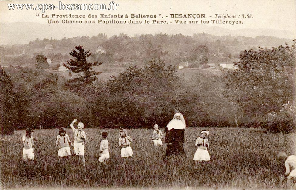 "La Providence des Enfants à Bellevue". - BESANÇON. - Téléphone : 3.88. - Une Chasse aux Papillons dans le Parc. - Vue sur les Tilleroyes.